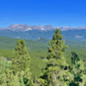 Meet your Posher, Abigail